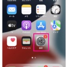 楽天モバイルとJALモバイルでヨーロッパへ　初めてのデュアルSIMで海外データローミングを克服！！