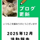 2025年12月の活動報告