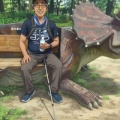 蓮の花は、神々しいがたおやかな