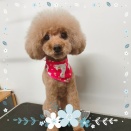 ＊＊＊6月のお友達紹介＊＊＊