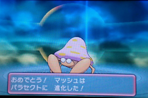 終花みずきのゲーム日和2nd ゲーム 更新頻度 低