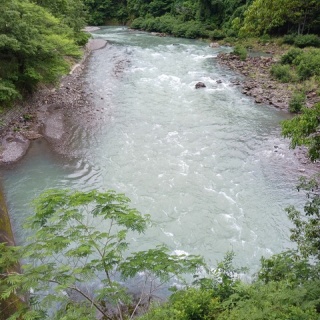 つり吉オヤジの日高川龍神鮎・あまご情報