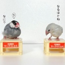 カエル病院へ行ってきた