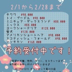 JOY東川口店ブログ