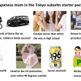 外国人「はい、これが東京郊外に住んでる日本人ママの生態ね」