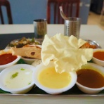 フライフィッシャーマンの水泳教室