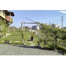 アブラムシ退治