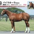 【キャロット】勝手に募集馬見解 その71 バイラオーラの24