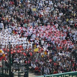 『高野連は恐ろしい｜アマチュア野球』の画像