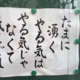 『アフリカ人に間違えられる』の画像