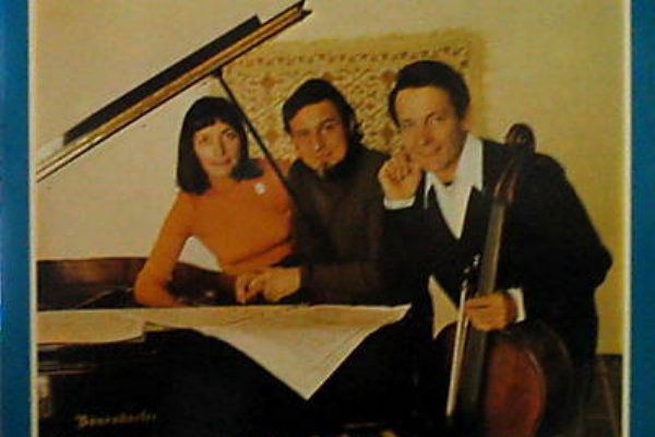 VINYL JUNKY - チェロ