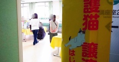 昨日は秘密結社ねこのひげ譲渡会♪