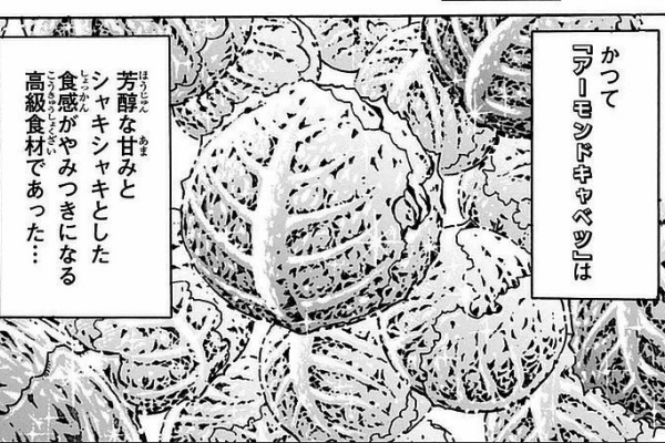 トリコの食事シーン 17年10月