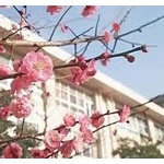 【悲報】不登校キッズ、卒業式だけやってきた結果…