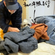 �����ʤ��褦�ˡ�ʹ�����ʤ��褦�ˤ���ˤϡ�����