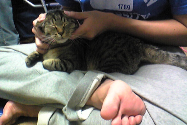 俺達みーもんずっ