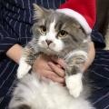 娘に「ぴあの」と名付けて、６歳になったから近所のピアノ教室に通わせたらピアノが嫌いで教室を脱走するようになった。教室「無理だから教室を辞めてください」・・・orz