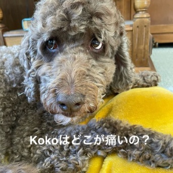 姉が驚いた姪のこと