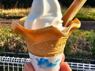 ソフトは断然コーン派です