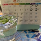 ����ϸ����̥졼���������Τ����⡡�٤β���