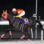 クロミちゃんの競馬日記