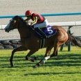 【競馬予想】[3]第21回ヴィクトリアマイル(GⅠ) /2026
