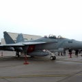 U.S.NAVY VFA-102  F/A-18F ～岩国FD2026～