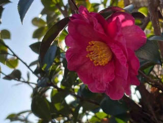 「固定費見直し」のおまけ