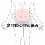 『柔道の試合後に起きた腰の張りと回旋時痛 　登別室蘭すのさき鍼灸整骨院　症例報告』の画像