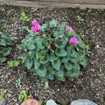 多治見市土岐市の美容室・美容院・ヘアサロンBUSU