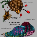 キャラ設定 メグミの見る幻覚