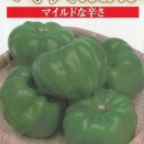 2026年3月　かぐらなんばん（神楽南蛮）