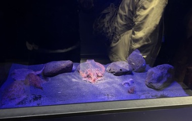 『2025/3/14　サンシャイン水族館＠池袋』の画像