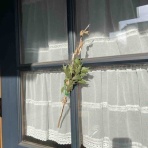 さもない日々のこと。