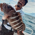 釣果情報