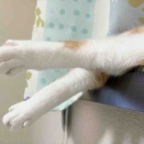 乗り気じゃないの？