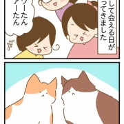 甥っ子猫に会ってきた①