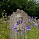 元興寺の桔梗