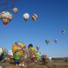 �غ��ץХ롼��ե����ƥ��Х�2022�����ŤΤ��Τ餻�٤β���
