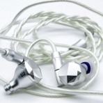 bisonicr keep walking.