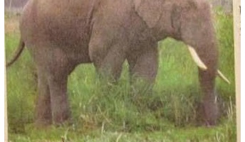 ダメな画像をあげるスレwwwwwww