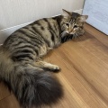 にぼしちゃん、はじめまして