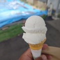 30種類のアイスを作って45年!?超レトロな雰囲気が素敵な見附名物アイスの谷信こと谷信菓子店 イナリ町店でココナッツミルクのアイスと白アイス！