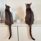 虫さんがいるような⁇