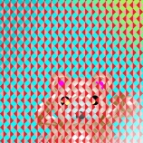 『ネコの行進』の画像