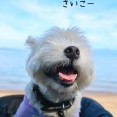 旅