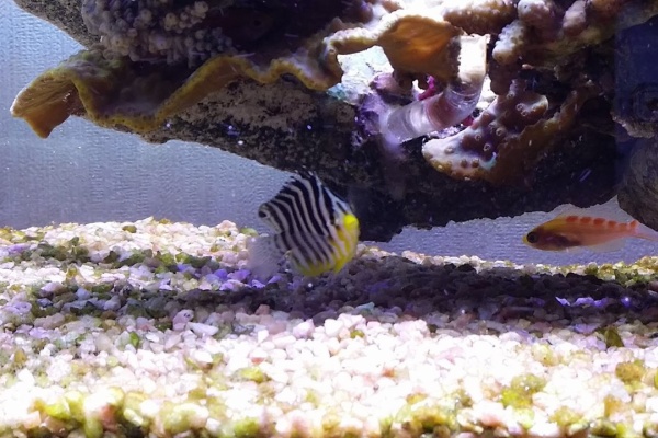 ニュースリリース 16