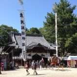 『担いできました!秋』の画像