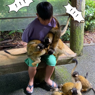 アルバム飾り　クラフトパンチ　チューリップオーダー受付中(^O^) アルバム飾り クラフトパンチ チューリップ オーダー受付中