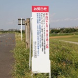 『6/1は余裕を持ってご来場下さい　柴又100Kマラソン』の画像